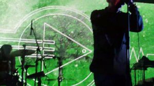 ТАНЦЫ МИНУС -  Дерево (Я заберусь на дерево ночью)  6 октября 2023г.