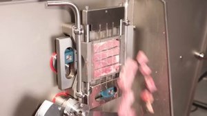 Holac Cubixx 100L машина шпигорезка для нарезки мяса сыра рыбы "Сделано в Германии"