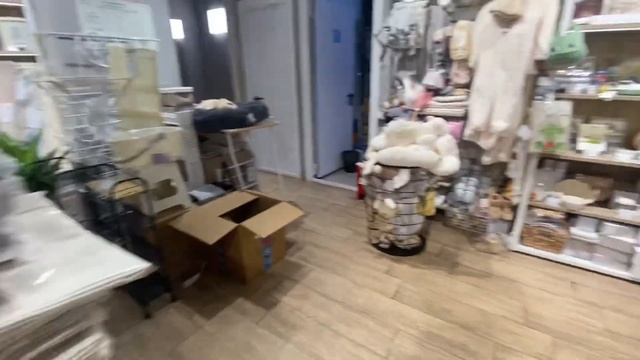 30.10.23/3. Я ИДУ СМОТРЕТЬ ОДЕЖДУ & КАК ВИКА ШУБУ ВЫБИРАЛА #москва #шопинг #шоппинг #обзормагазинов смотреть онлайн