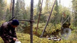 В тайгу на неделю с Коляном. День 3. Ставим петли на боровую дичь.