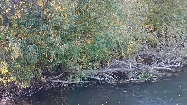 Вездеход R3, плавание. смотреть онлайн