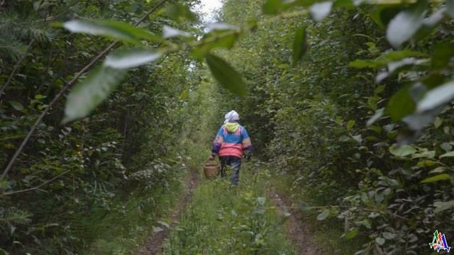 Девушка обернулась и увидела идущего за ней огромного медведя – она побелела от страха и побежала… смотреть онлайн