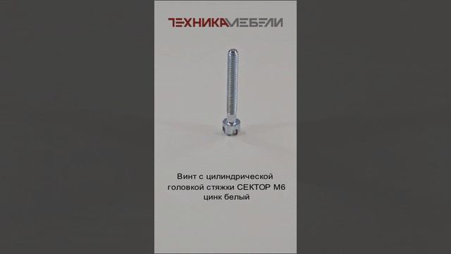 Винт с цилиндрической головкой стяжки СЕКТОР М6 цинк белый шорт