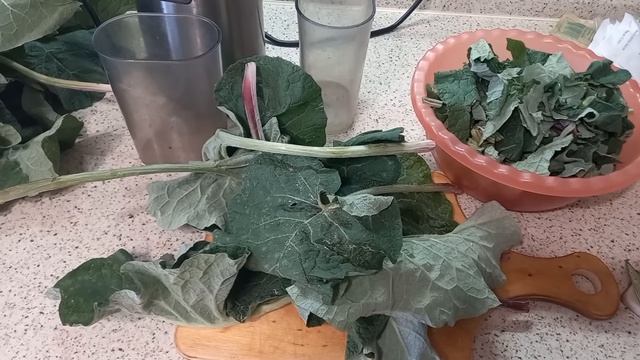 Лучшее средство от любых кист в организме. Часть 1. 4amoC-bEMLY смотреть онлайн