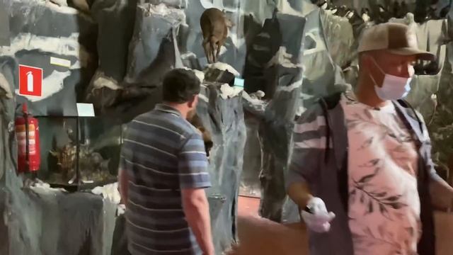 ЭЛЬГЯЙ