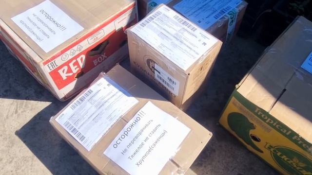 Отправка ваших заказов ТК Сдэк смотреть онлайн