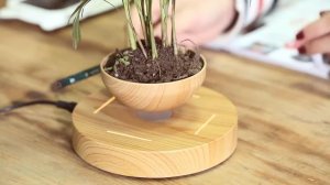 Wooden Levitating Planter