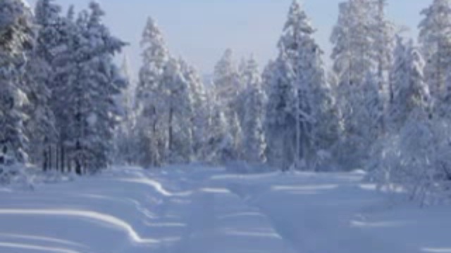 Зимняя сказка в Саратове