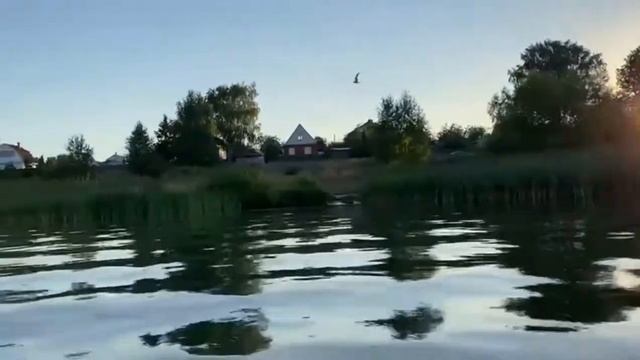 Катание на лодке. Кольчугинское водохранилище. Кольчугино