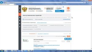 Реестр банковских гарантий ЕИС