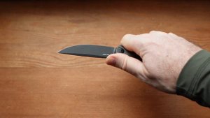 Внезапный ХИТ / Джентльменистый Sencut Scitus❗️