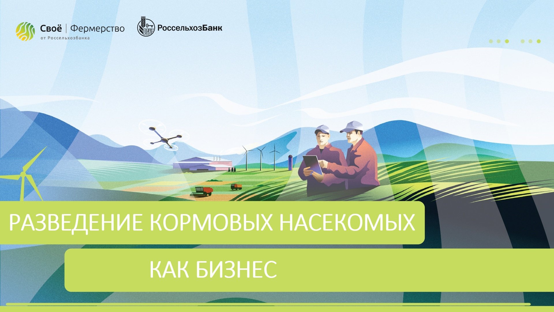 Разведение кормовых насекомых как бизнес