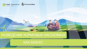 Разведение кормовых насекомых как бизнес