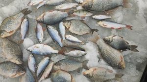 Рыбалка на Чанах,первый выезд 2023. озеро Чаны