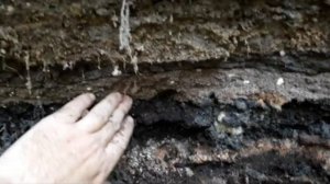 Тайна подземелий в центре Ярославля