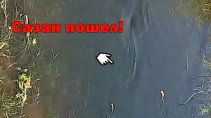 Май на Нижней Волге / Много воблы и САЗАН пошел,пошел.....
