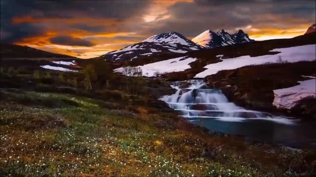 Что произойдет на планете в 2025 году? смотреть онлайн