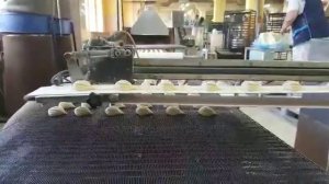 Экструзионно-формовочная машина для производства пряников из сырцового теста с начинкой