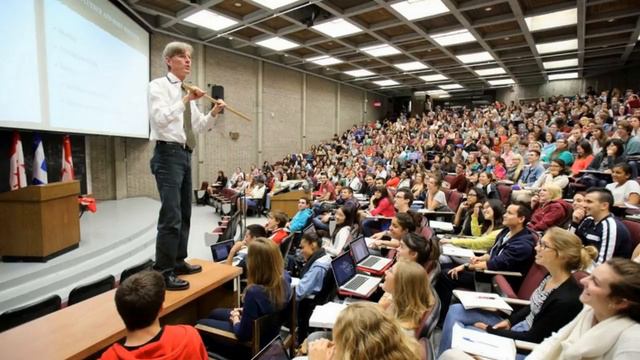 Difference Between Lecturer And Professor смотреть онлайн