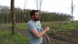 Осмотр места под пасеку в лесу. Как найти акацию и липу в лесах Медоносы для пче