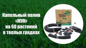 Капельный полив "Жук" в теплых грядках (обзор) // Sony AS300 | X3000