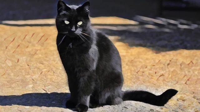 О котёнке Чарли - Семейный рассказ смотреть онлайн