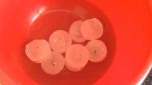 Осенние листья! Сохраняем структуру и цвет!!! С помощью воска!