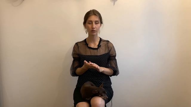 КАК УХАЖИВАТЬ ЗА ЗУБАМИ СОБАКИ | ВСЕ О ДОМАШНЕМ И ПРОФЕССИОНАЛЬНОМ УХОДЕ