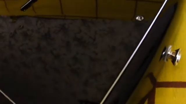 Fender Stratocaster VG G5 powered by Roland смотреть онлайн