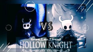 hollow  knight