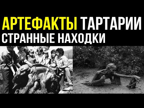 ✅ Артефакты тартарии