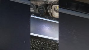 Проверить поршень на двигателе эндоскопом