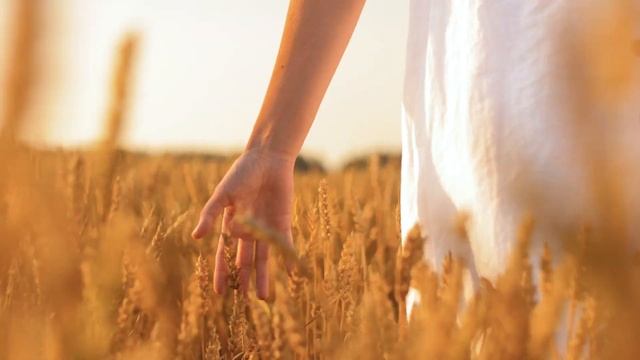 ЯрХлеб. Живое зерно. С отрубями