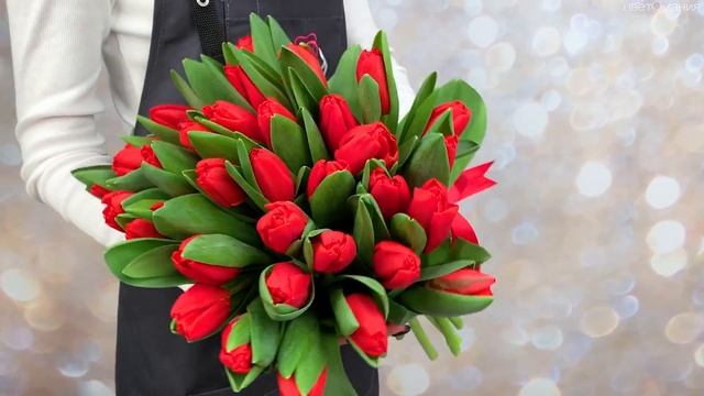 Обзор букета из 35 красных тюльпанов с лентой смотреть онлайн