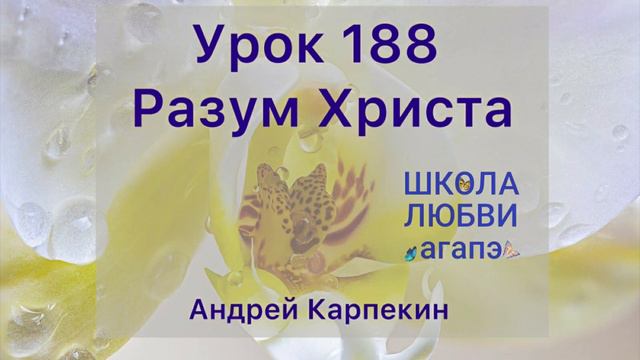 188. Разум Христа. Школа Любви Агапэ.