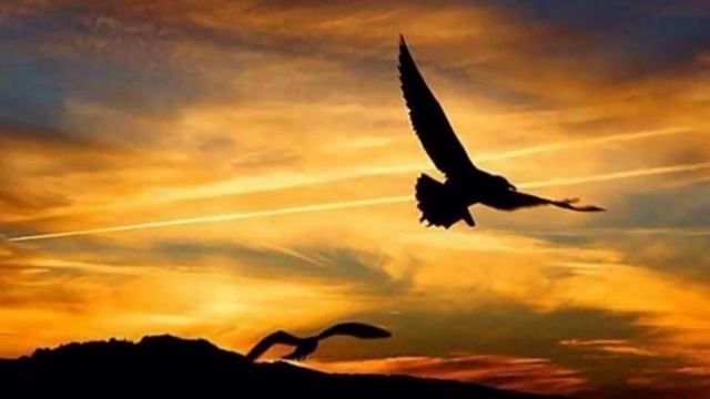 Dave Gahan & Soulsavers One Thing смотреть онлайн