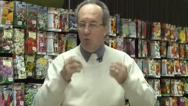 Садовые истории (выпуск №7) смотреть онлайн