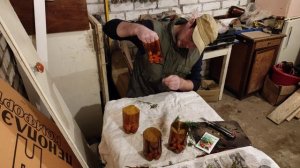 Размножение туи черенками своими руками в домашних условиях.100% способ размножения туи попробуй!