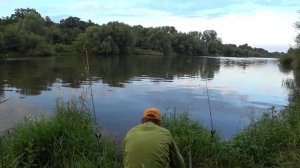 Голавль на печень, горох и кукурузу. Рыбалка в Польше