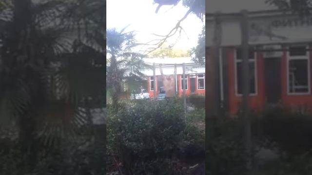 Подтягивания 45 раз смотреть онлайн