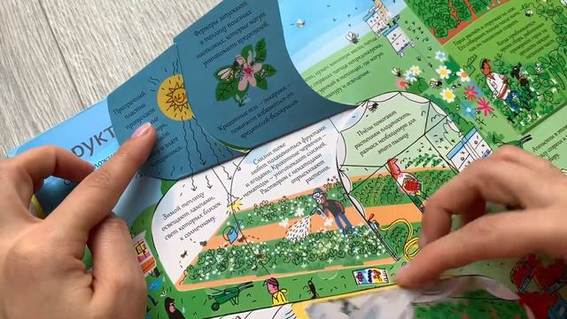 Открой тайны еды || Книга со створками! смотреть онлайн