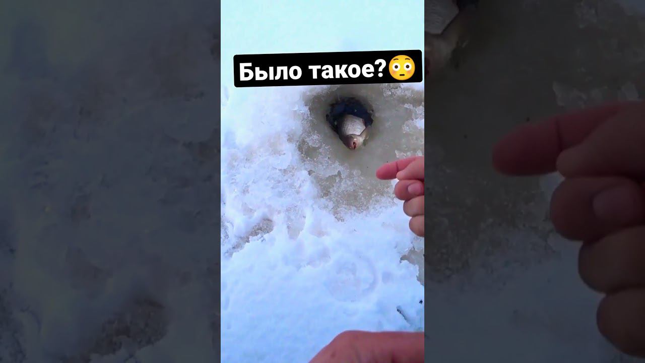 Знаете что за снасть? #shorts #fishing #fish, #рыбалка, #зимняярыбалка #боленрыбалкой
