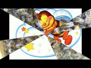 Кто пчёлок уважает HD