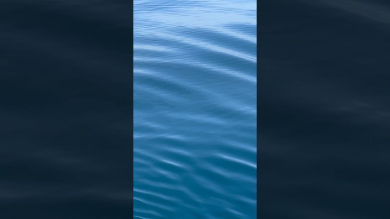 Не забывайте дышать #фридайвинг #freediving #onebreath смотреть онлайн