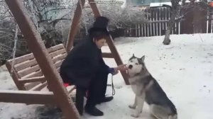 С. Есенин - Собаке Качалова