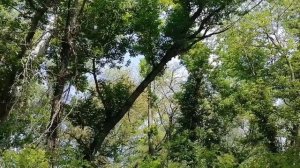 советы по избавлению от негативных мыслей 2,10минуте..