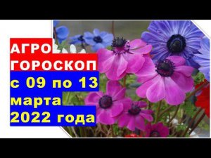 Агрогороскоп с 09 по 13 марта 2022 года