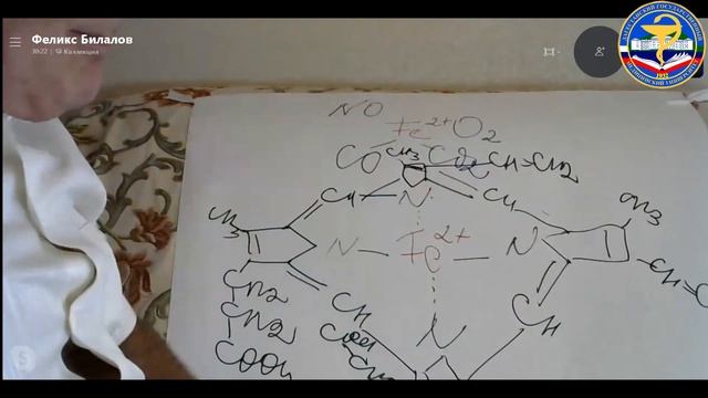 Лекция по биохимии №3. Сложные белки на примере гемоглобина. смотреть онлайн