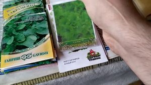 Кратко о том какую зелень я посадил, посажу и собираюсь посадить в 2021 году на даче