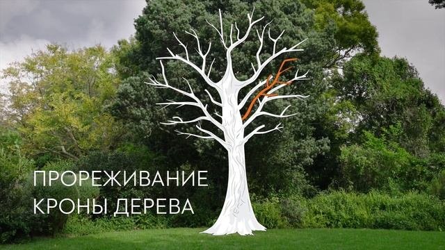 Как подрезать деревья